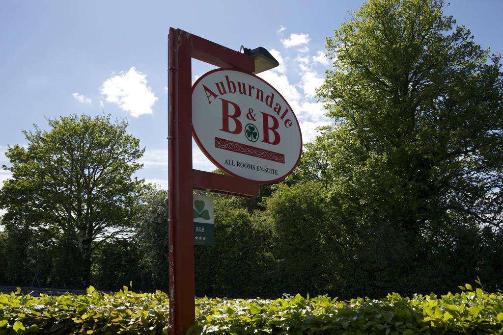 Auburndale B&B Kilkenny Exterior photo